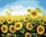DIY PBN acrylic Van Gogh painting pictures by the numbers framed canvas wall art room home decoration