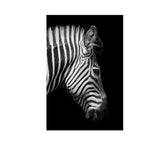 Black And White Animal Zebra Wall Art Canvas Painting Wall Poster Living Room Decor